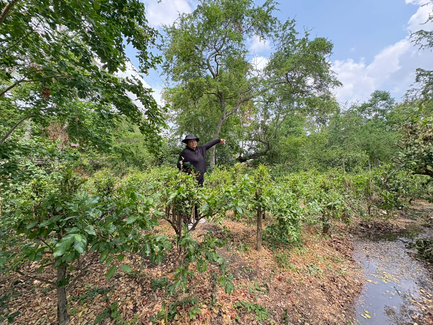 title - ศรม. ลงพื้นที่ตรวจประเมินเพื่อติดตามในเขตปฏิรูปที่ดินจังหวัดนครสวรรค์